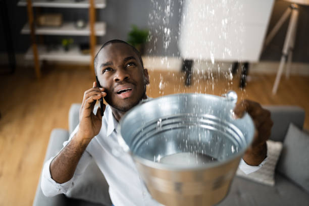 Best Carpet water damage restoration  in Osprey, FL