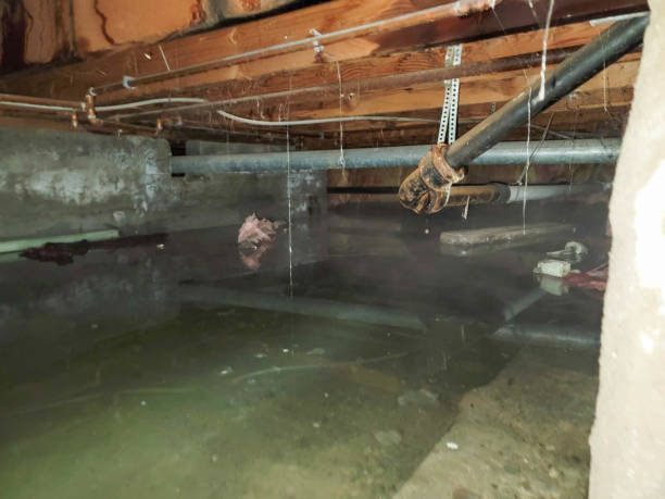 Sewage cleanup and water damage restoration in Osprey, FL