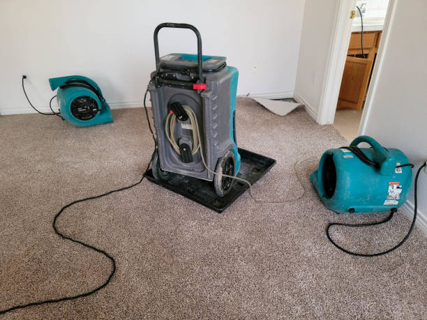 Best Fire Damage Restoration  in Osprey, FL