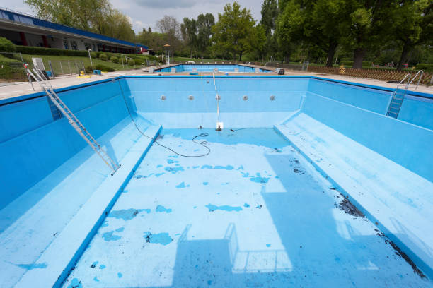 Best Flood restoration services  in Osprey, FL