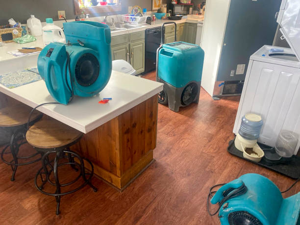 Best Professional water damage repair  in Osprey, FL
