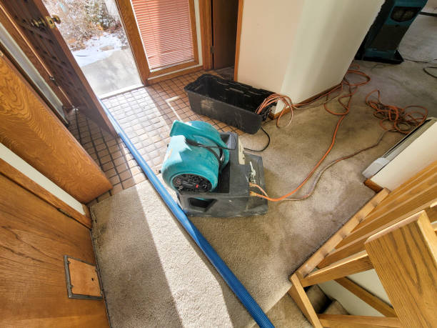 Best Water damage restoration near me  in Osprey, FL