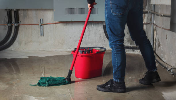 Best Mold removal after water damage  in Osprey, FL