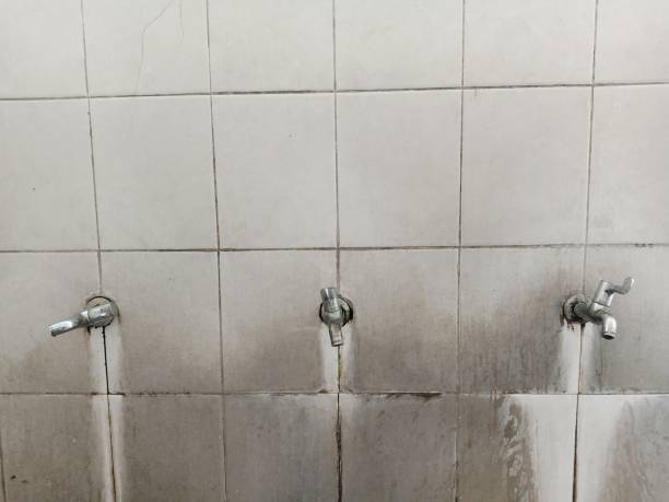 Best Water damage mitigation services  in Osprey, FL