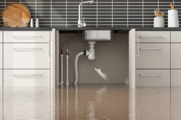  Osprey, FL Water damage restoration Pros