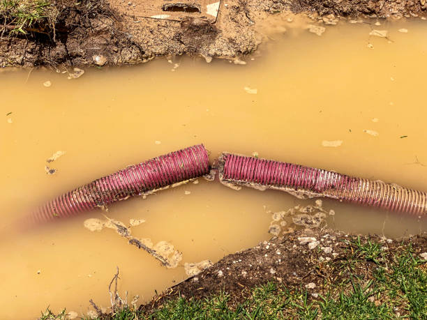 Best Water damage restoration experts  in Osprey, FL