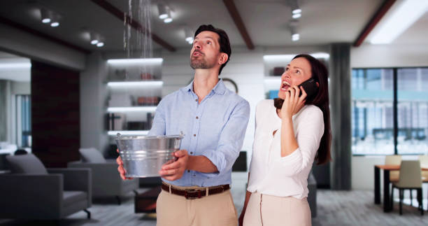Best Water damage cleanup near me  in Osprey, FL