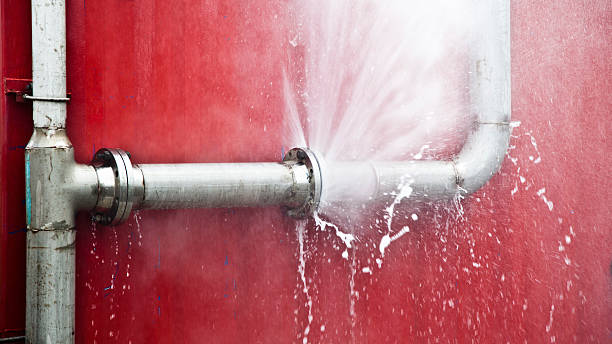Best Sewage cleanup and water damage restoration  in Osprey, FL