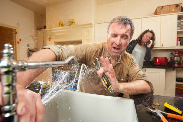 Best Flood damage cleanup  in Osprey, FL